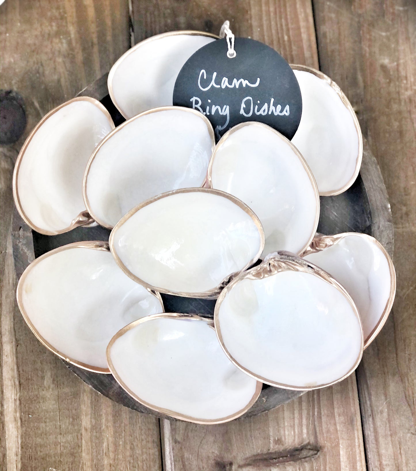 Clam Shell Ring Dish