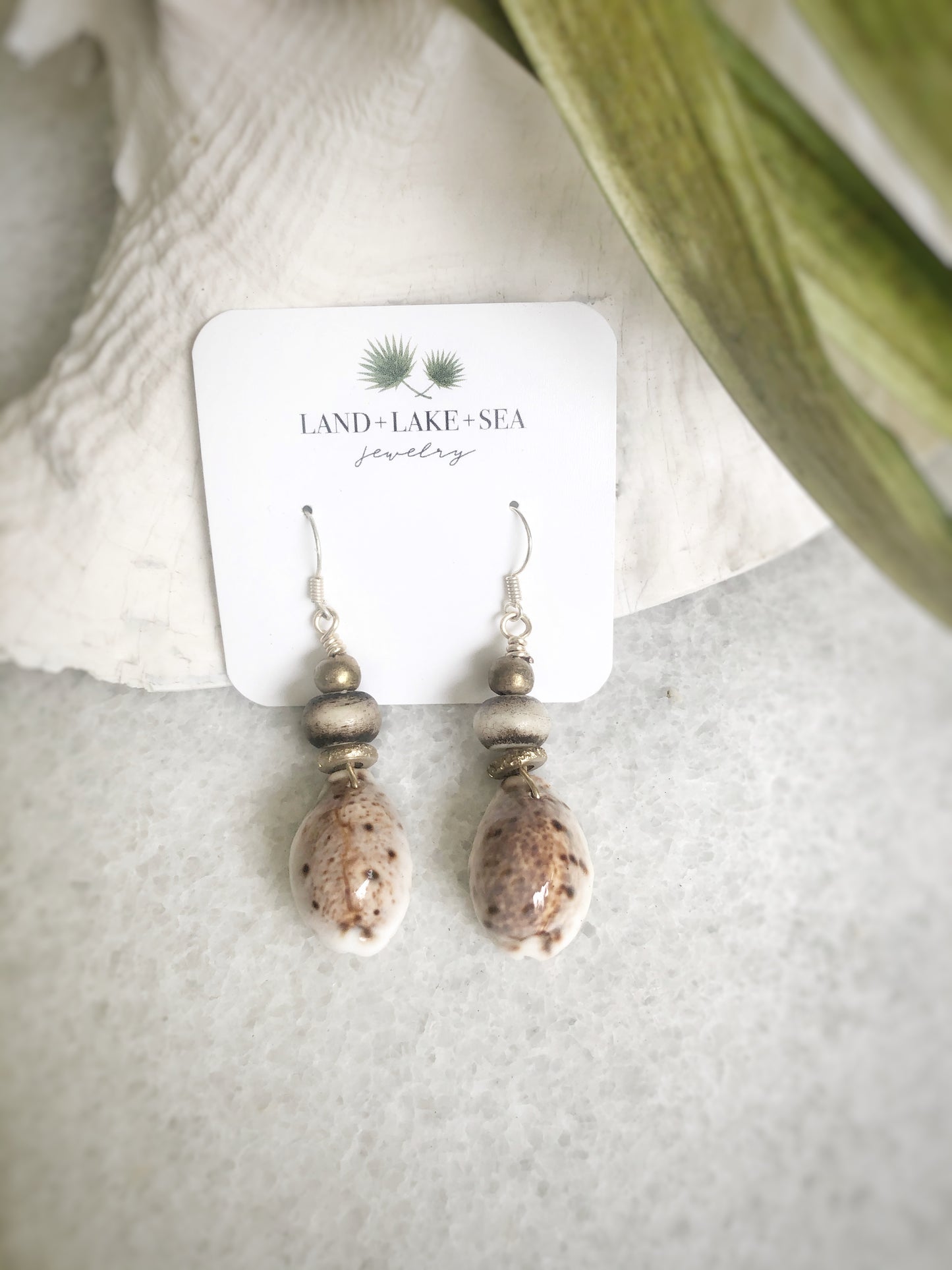 Lynx Cowrie Shell Earrings