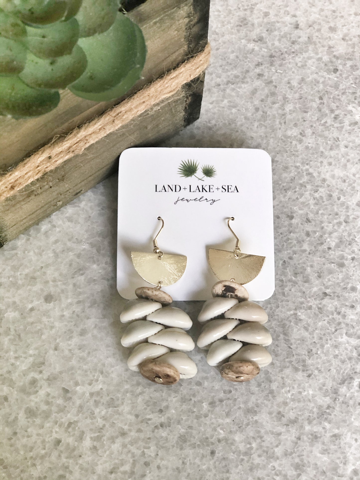 Cowrie Shell Earrings